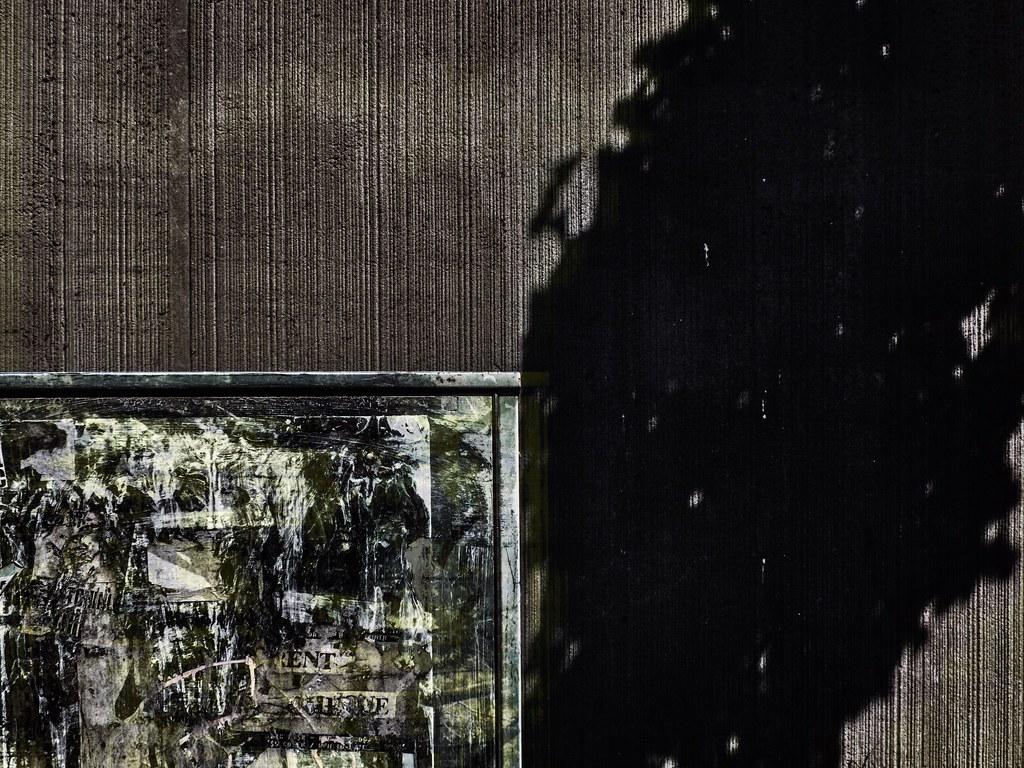 Federal judge hints she will continue blocking Trump from firing head of whistleblower protection agency Implications of the Ruling on Whistleblower Protections and Public Accountability