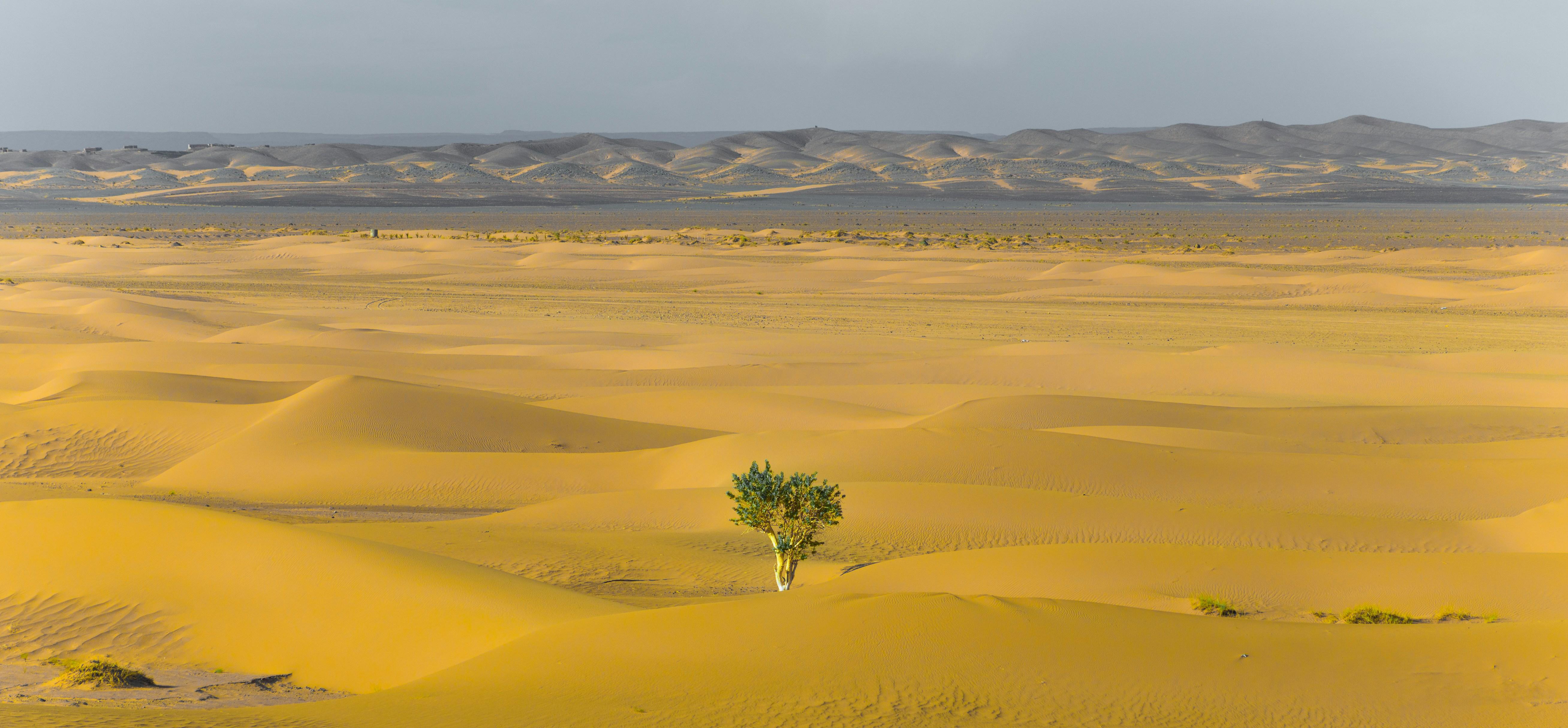 What’s different this time? Implementing Innovative Strategies for a Resilient Future
