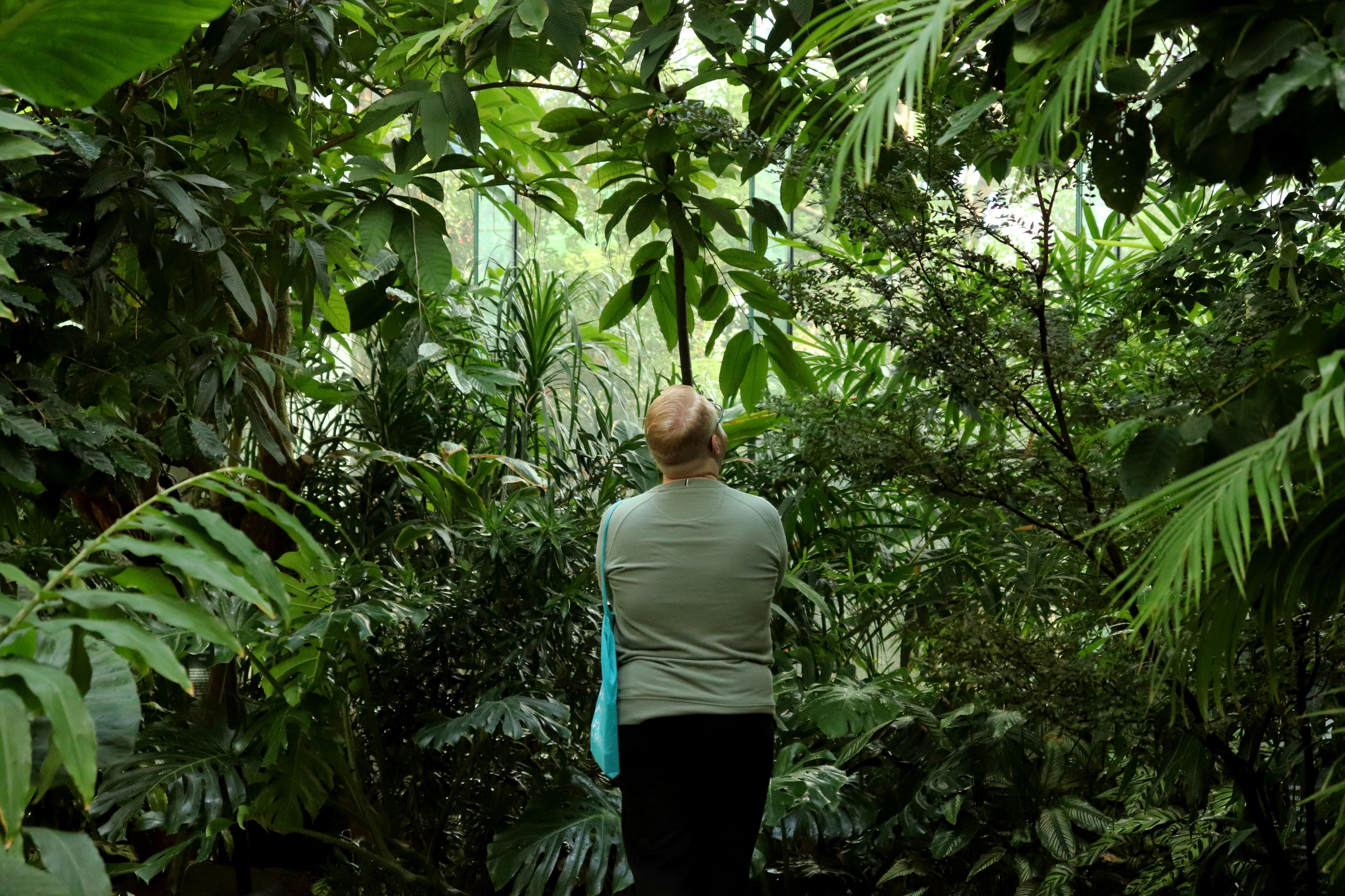 OPINION: Stop Comparing Boeing Starliner Astronauts to Airline Passengers Stranded on Holiday Recommendations for Shaping Public Perception of Space Tourism
