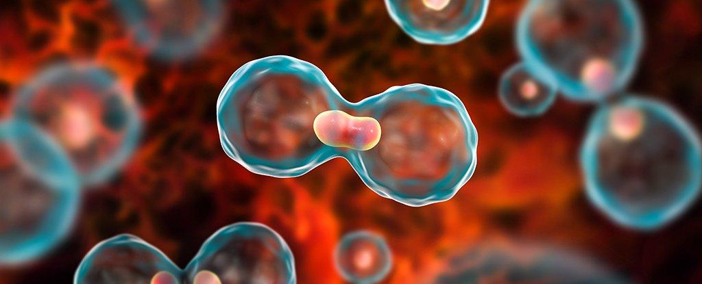 Govt reviewing infrastructure of district hospitals for setting up daycare cancer centres Recommendations for Enhancing Facilities to Support Cancer Patients in District Hospitals