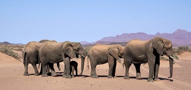 The 10 Best Summer Cocktails That Are Refreshing and Easy to Make Essential Ingredients for the Perfect Summer Sip