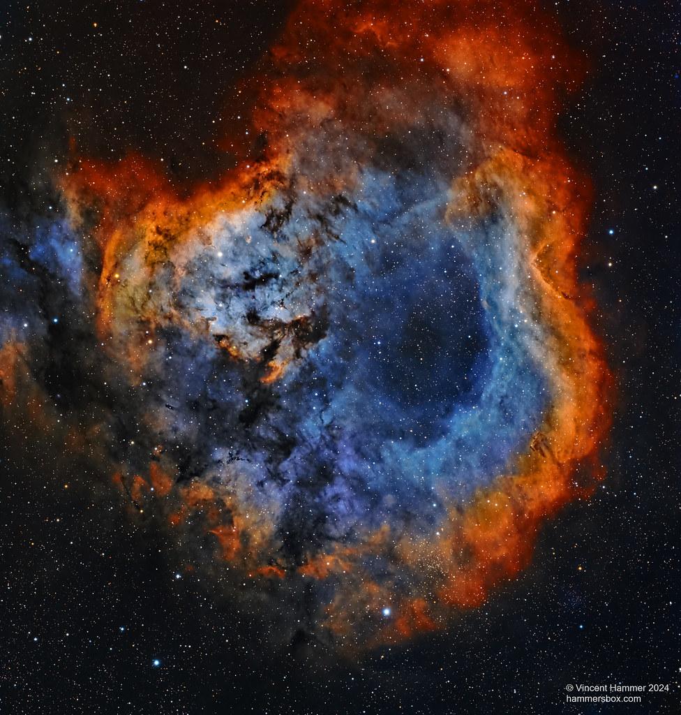 Is Down v Kildare on TV today in the Allianz Hurling League? Key Insights into Team Form and Lineups Ahead of Down vs Kildare