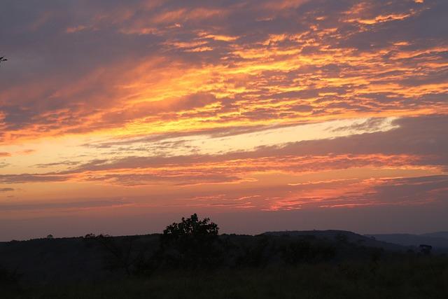 Bucks rule Damian Lillard out indefinitely due to deep vein thrombosis in right calf Impact of Damian Lillard's Condition on Bucks' Season Outlook