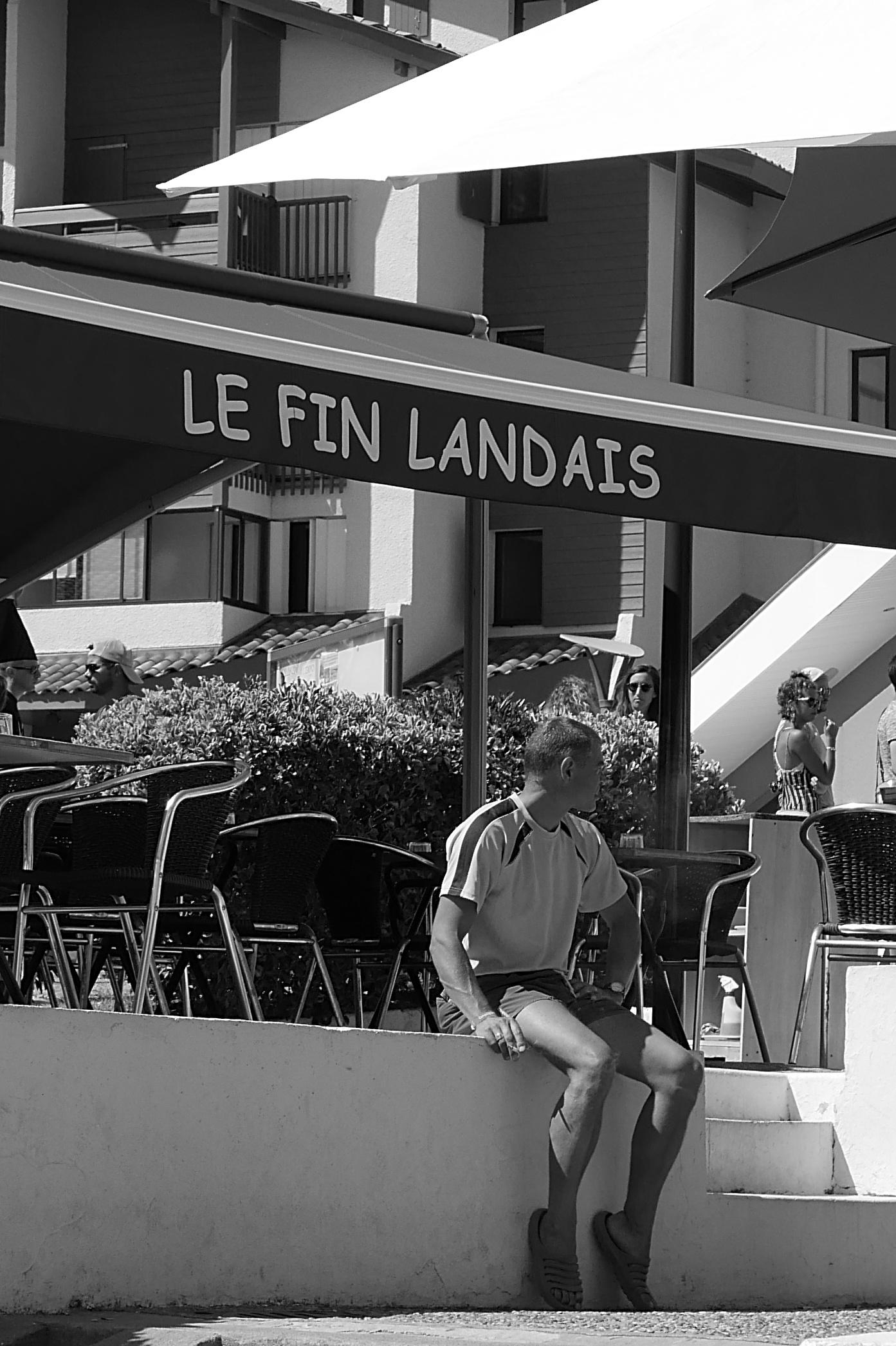 PLANCKS physics quiz – the solutions Effective Strategies for Success in the PLANCKS physics challenge