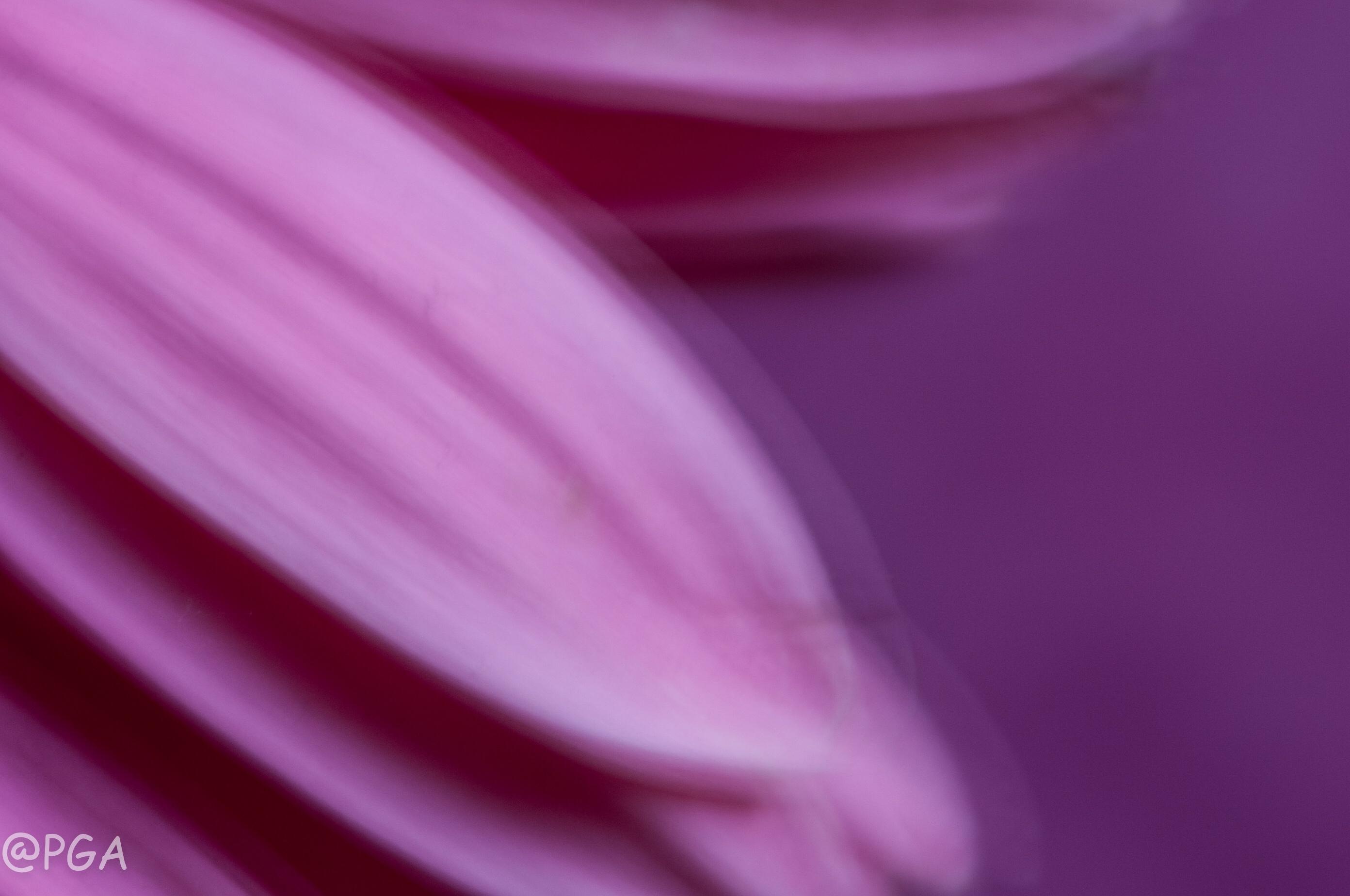 HGTV stars rebuilding Florida town say Americans crave slower, simpler lifestyle The Allure of Slower Living Amidst Fast-Paced Modernity