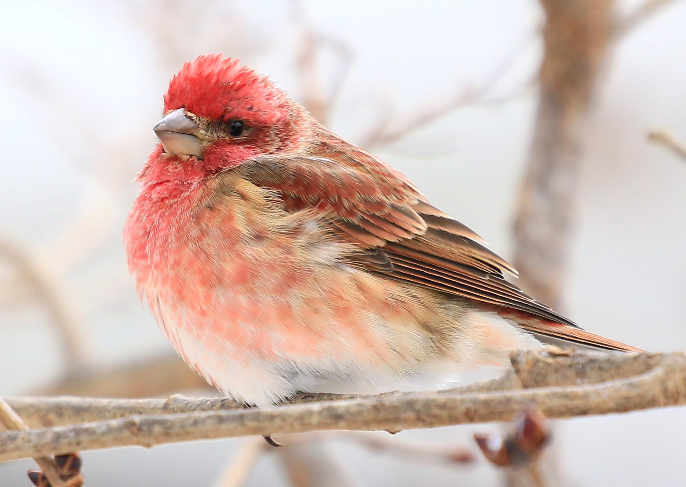 What to Know About the Value of Food Logging, Backed by Science Understanding the Science Behind Food Logging and Its Impact on Health