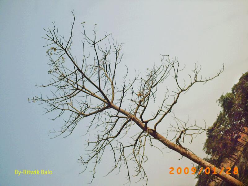 Art League of Long Island EXHIBITION OPENING THIS WEEKEND! What to Expect at This Weekend's Exhibition Opening