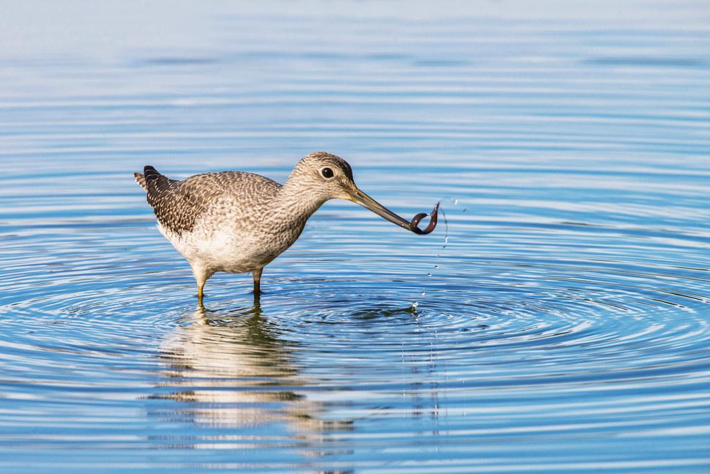Ariana Grande Teases ‘Eternal Sunshine’ Deluxe Edition With Fiery Video Clip Deep dive into the Visual Aesthetics of the New Music Video clip