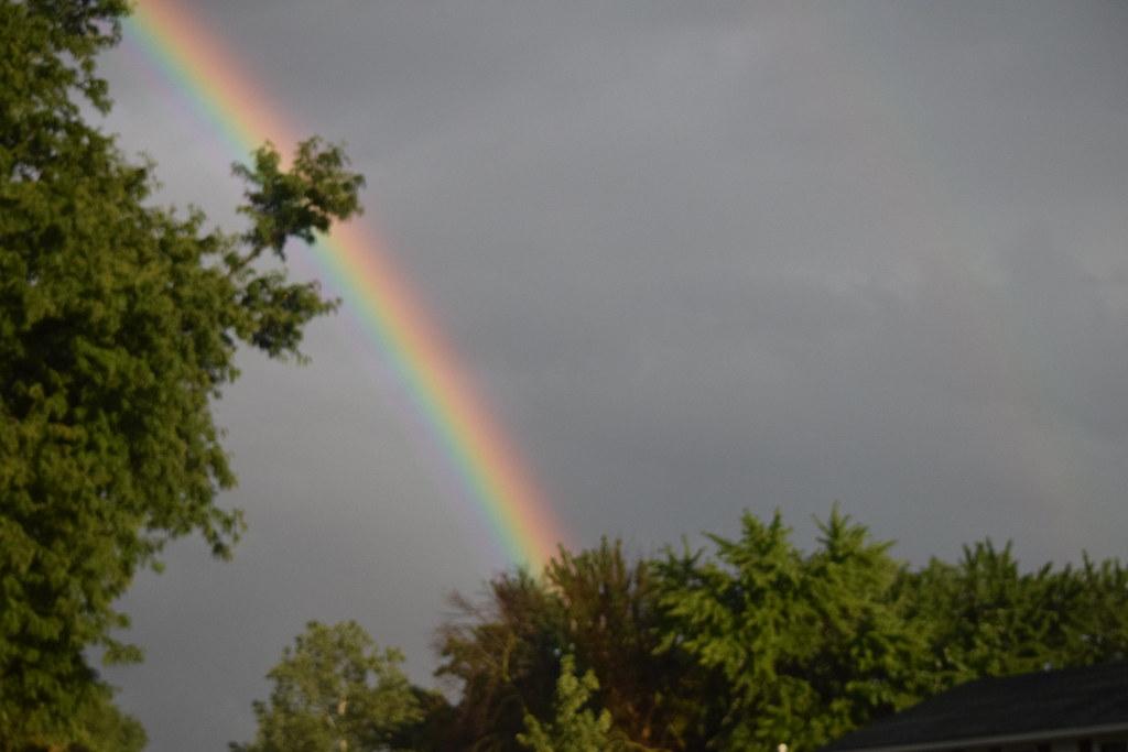 RAINBOW The role of Rainbows in Art and Symbolism Throughout History