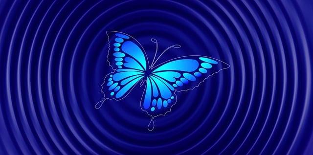 Wood-eating beetles may make wildfires emit even more carbon Effective management Strategies to Mitigate Wildfire Risks and carbon Release