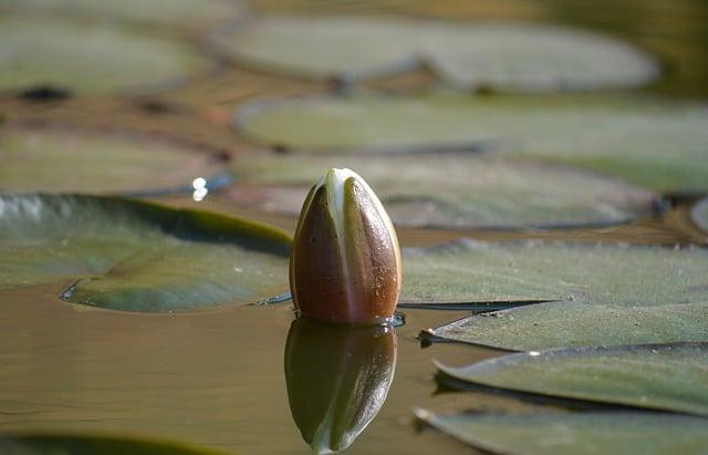 Lily Stewart, College Student Who Went Viral for Smiling Mugshot, Arrested Again Lily Stewart's Journey from Viral Sensation too Arresting Headlines