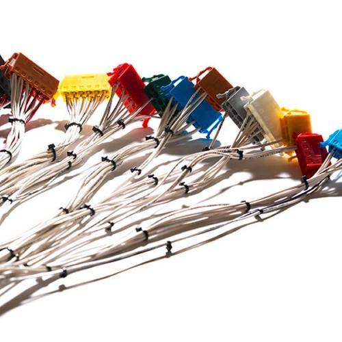 Noise Becomes a Quantum Ally harnessing Noise: Practical Strategies for Enhancing Quantum Systems