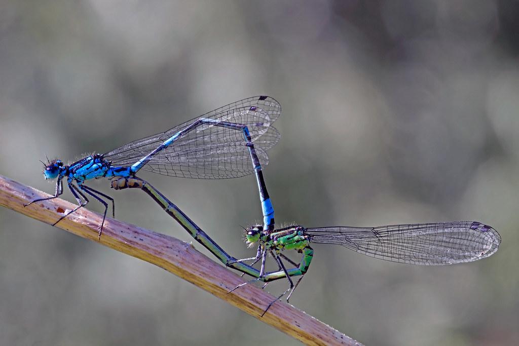 Two Major Inflation Markers Lower Than Expected Key Indicators Suggest a Shift in Consumer Confidence and Spending