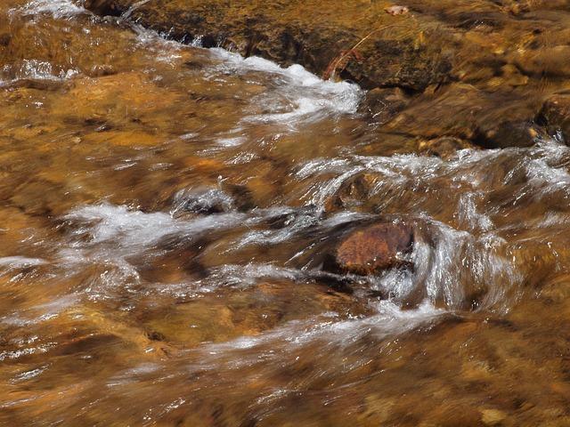 Jasmine Crockett, The Democrats’ “New AOC,” Claims It’s Not a Crime To Cross the Border Illegally Implications of Crockett's Statements on the Democratic Party's future Direction