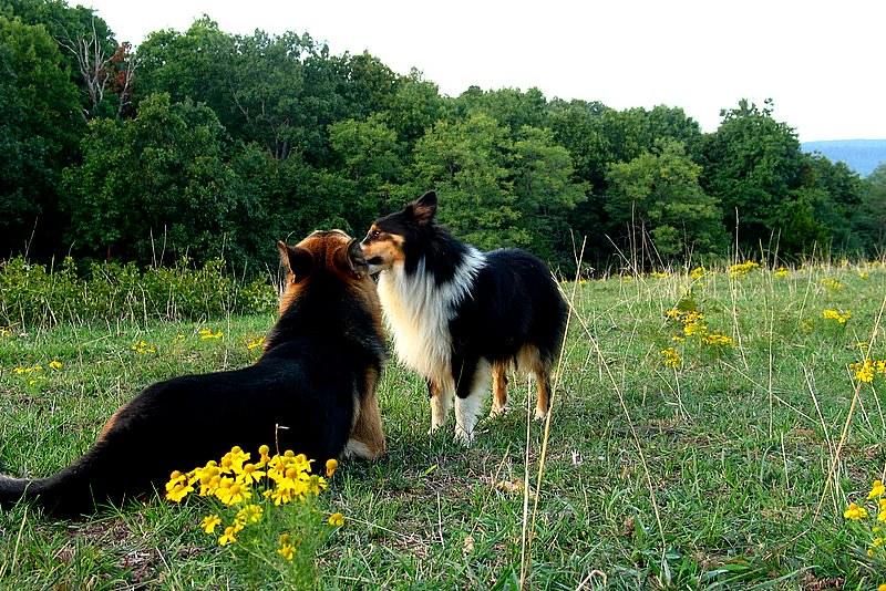 Hopes for Iran nuclear talks tempered by threats and mixed messages The Role of Communication in Shaping Perceptions and Expectations