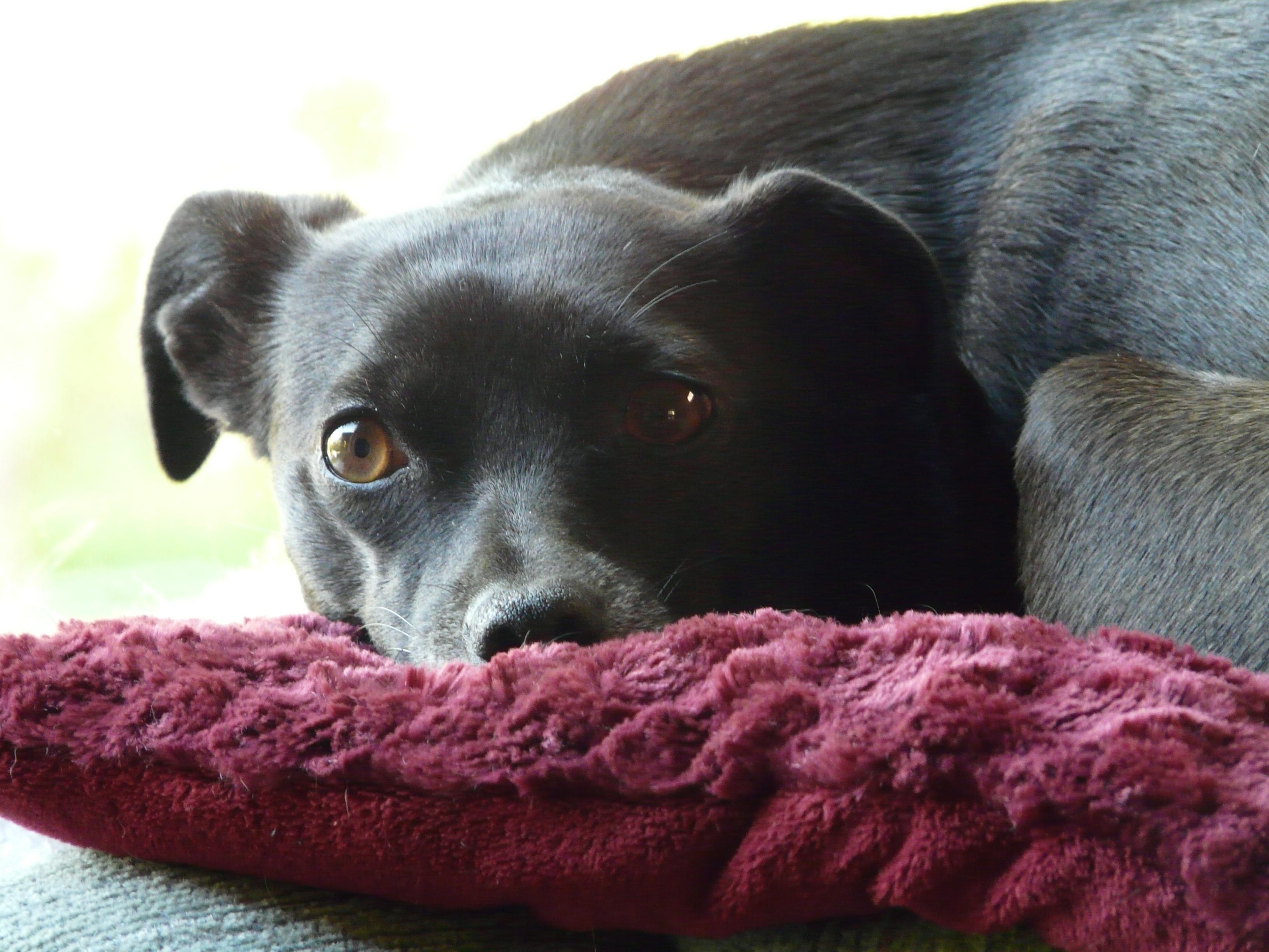 Jack Black Takes His ‘Hosting’ Duties Very, Very Seriously in New ‘SNL’ Promo Behind the Scenes: How Jack Black Prepares for Hosting