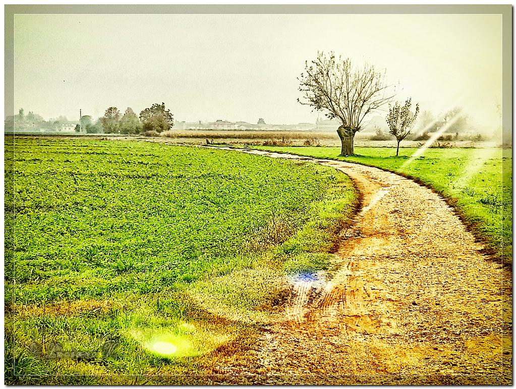 Xantaro to provide ‘Cabinet-as-a-Service’ for Freedom Fibre’s Shropshire rollout Future-Proofing Shropshire: What Cabinet-as-a-Service Means for Residents and Businesses