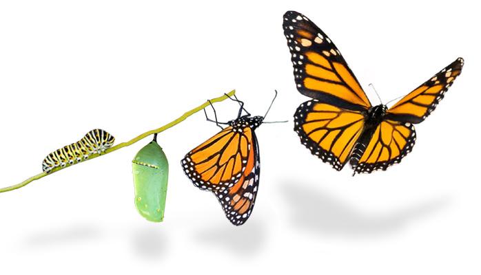 Five Years in the Making, a MiG-21 Fighter Jet Gets a Glow-Up from Tens of Millions of Glass Beads transformation of the MiG-21 Fighter Jet Through Artistry and Innovation