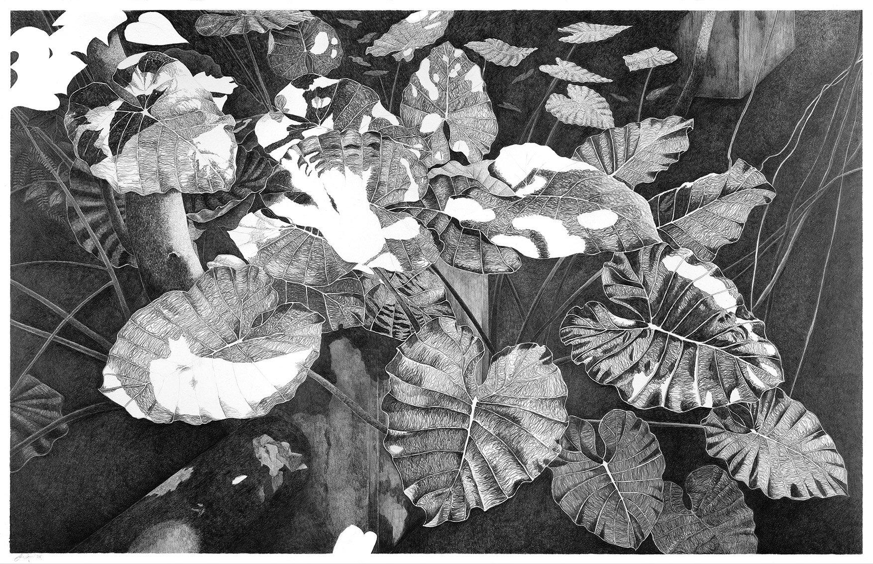 Otherworldly Flowers Emerge from Darkness in Clara Lacy’s Meticulous Graphite Drawings Exploring the Depths of Clara Lacy's Artistic Vision