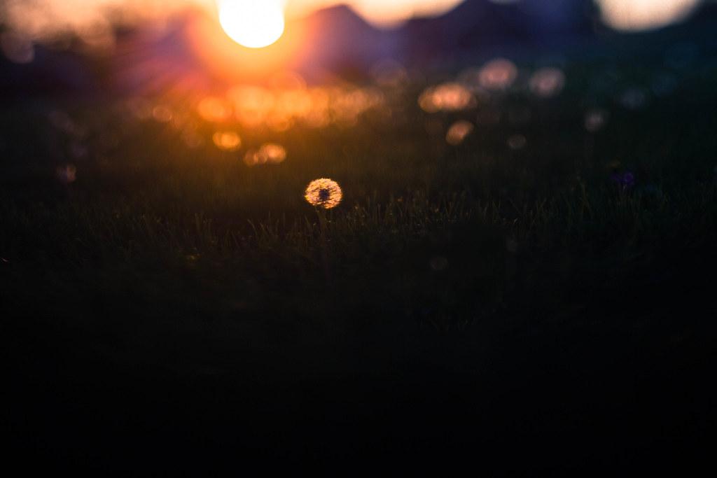 The Finite Legacy of Bitcoin: Understanding 2.1 Quadrillion Satoshis - The Implications of a Finite Supply: How 2.1 Quadrillion Satoshis Effect Market Dynamics