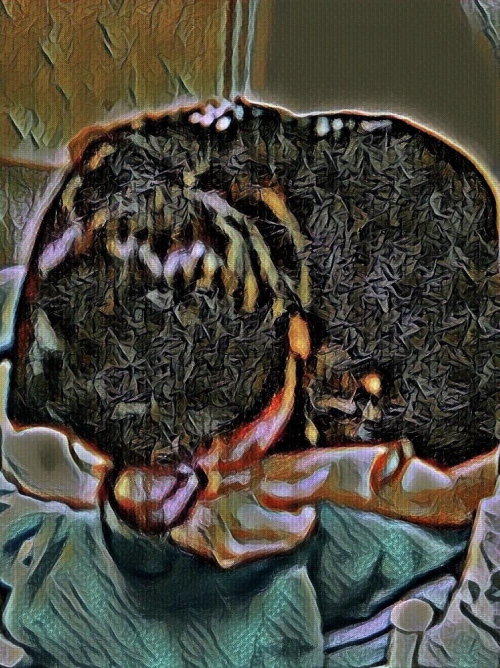 The Limited Supply of 2.1 Quadrillion Satoshis Explained Understanding the Implications of 2.1 Quadrillion Satoshis on Market Dynamics