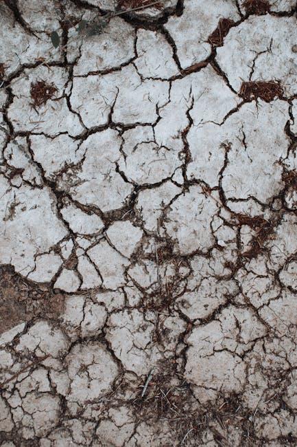 Exploring the Limitations of Bitcoin's 2.1 Quadrillion Supply Assessing the Impact of Scarcity on Investment Behavior and Speculation