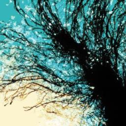 Meanwhile back in the Ghibliverse... ... Meanwhile back in the Ghibliverse... ...