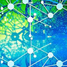 Bitcoin Maximalism: Protocol-First Thesis Examined Protocol hardening over product proliferation: quantitative security budget targets hash rate dispersion metrics and full node participation thresholds