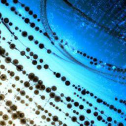 Ethereum Hits All-Time High Price After Nearly 4 Years Liquidity Funding And On Chain Activity Signal Strength And Key Risks