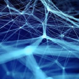 Bitcoin Maximalism: Network Effects and Security Compounding Network Effects through Full Node Density, Deep Liquidity, and Lightning Routing Quality