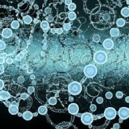 Libra Wallets Linked to Hayden Davis Made $12 Million on Kanye West's Meme Coin Timing of buys and exits liquidity routing and clustering patterns indicate refined orchestration and alpha capture