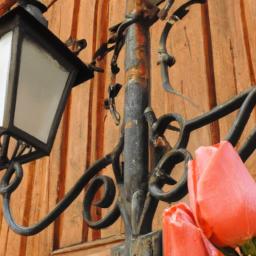 Bitcoin R.I.P.: Funeral for a Failed Digital Messiah Preachers, Pundits and Paper Hands: Eyewitness Accounts from the Blockchain Burial Ground