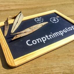 PlebLab Hosts “Startup Day — Yucatán” in Mérida with Yopaki - Recommendations for Entrepreneurs: Leveraging Networking Opportunities at Startup Day