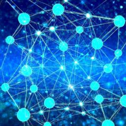 A Circular Economy and the Four Archetypes of Bitcoiners Mapping the Bitcoin Circular Economy With Actionable Pathways for Local Adoption