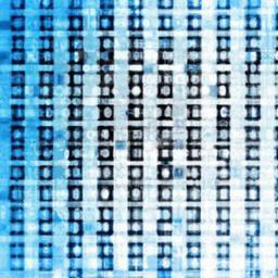 Bitcoin Maximalism: Protocol Merit and Market Data Validate Protocol Assurances With Reproducible Metrics Adversarial Testing and Autonomous Client Diversity