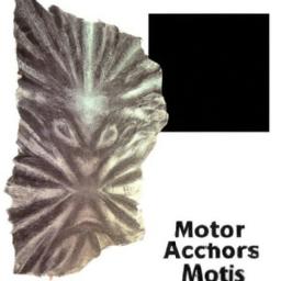 Bitcoin MVRV Just Flashed a Dead Cross – Here’s Why Investors Should Pay Attention What History Shows After past MVRV Dead Crosses