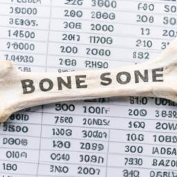 BONE Price Surges 40% After Shibarium Flash Loan Exploit BONE Price surges 40% After Shibarium Flash Loan Exploit