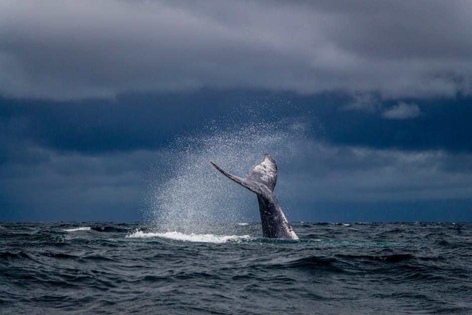 Whale alert: Someone dumped $1.29 billion of BlackRock’s bitcoin ETF in a dark pool trade