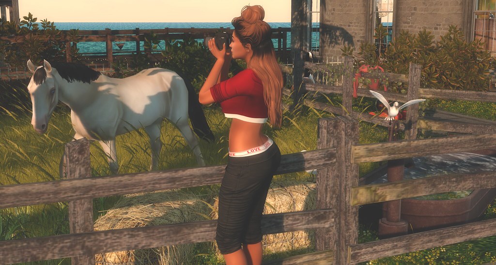 DeFi needs more than just “synthetic high-yield products” to succeed, according to Dragonfly’s Haseeb Qureshi. Unlocking its full potential requires creative solutions.