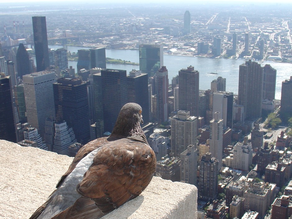 1. BlockFi Bets Big on FTX and Alameda Despite Controversy