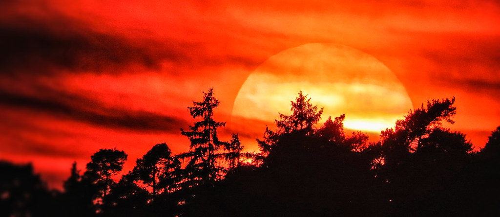 High-definition video