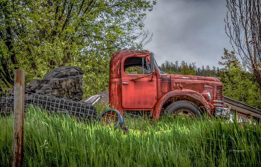 Bitcoin Market Dynamics: On-Chain Trends & Realized Market Capitalization