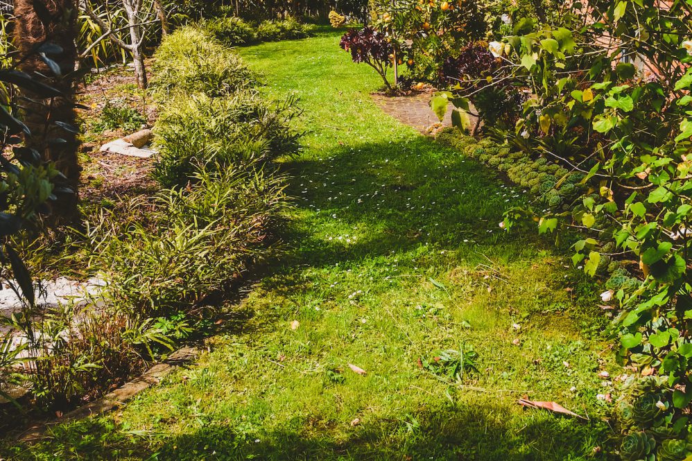 Don’t let banks control your cryptos! Risky, costly, and unreliable.