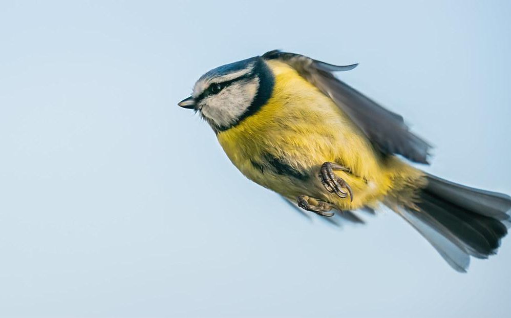 Twitter cracks down on child abuse content amid EU scrutiny