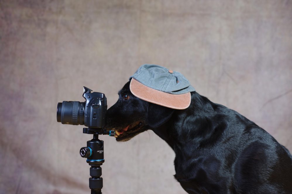 Bitcoin’s Unconventional Journey: Understanding Maximalism