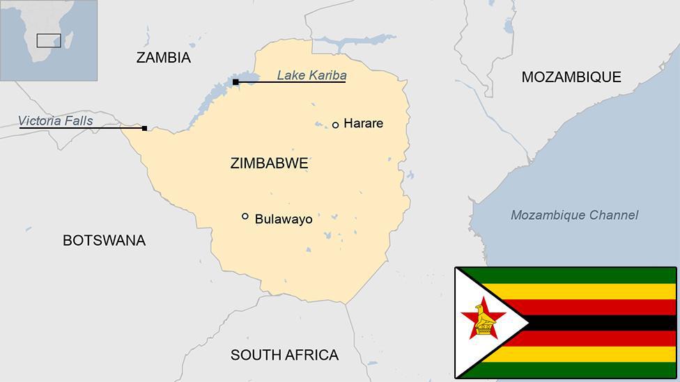 Zimbabwe Injects $50 Million to Bolster Devalued Currency