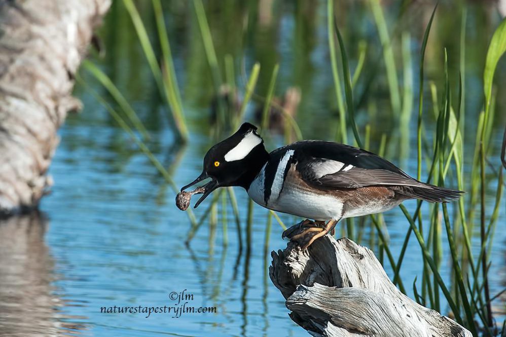 Evening Digest: Bitcoin Market Update for Informed Investors