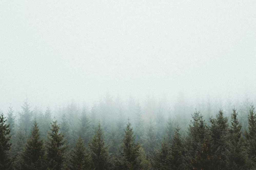 DrPepe.ai Launches on Solana, Merging AI Innovation with Blockchain Technology