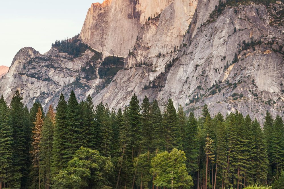 MEET48 Announces: Mars Protocol to Launch in Q1 2025, Ushering in a New Era of AI Idol Tokenization