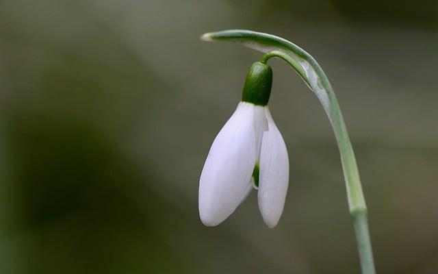 MUST WATCH: White House Press Reporters Look Miserable as Stephen Miller Crushes it with Epic Monologue Highlighting Trump’s First 30 Days